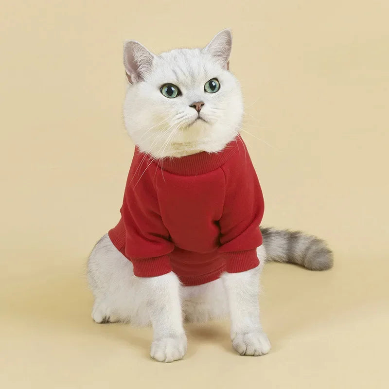 Breathable Pet Hoodie | Cozy Winter Clothes