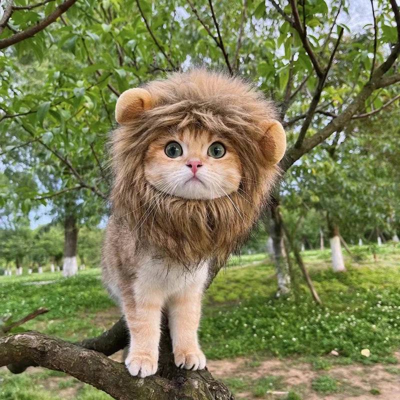 Pet Cosplay Hat | Lion Mane Wig