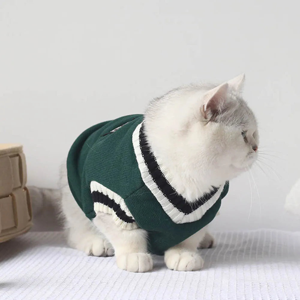 Fashionable Pet Sweatshirt | Winter Warm Sweater